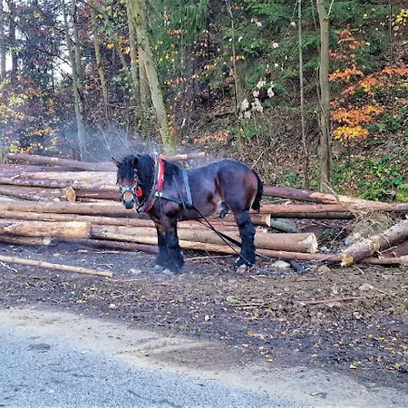 Roubenka Lomná Apartamento *